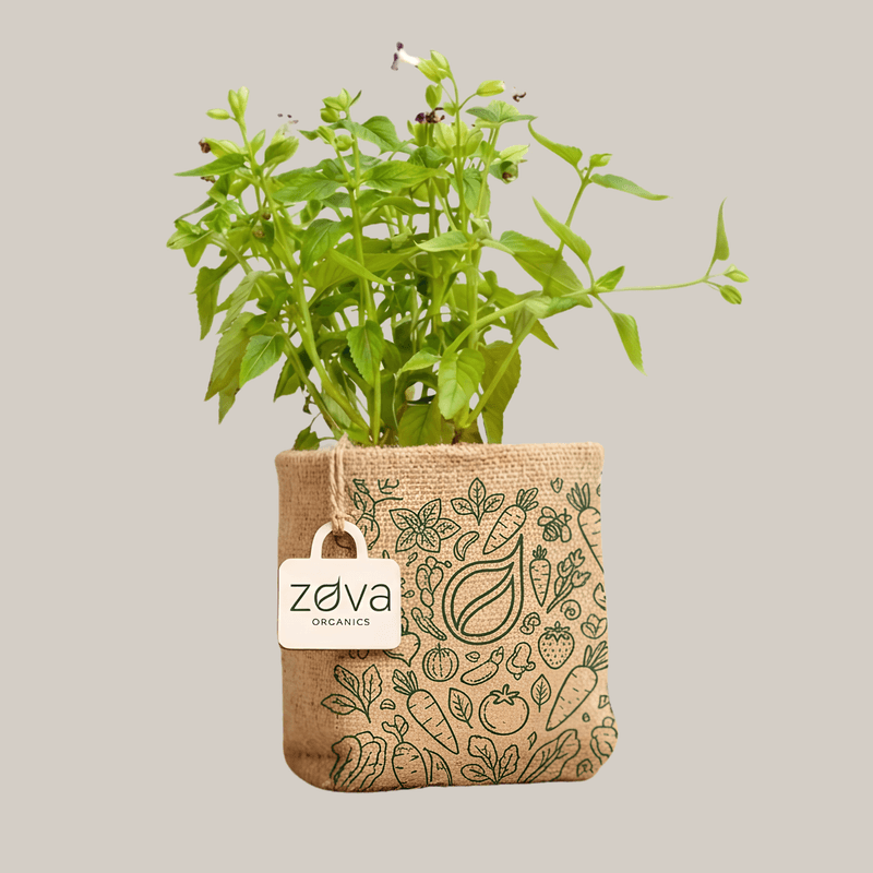 Eco-Friendly Jute Grow Bags